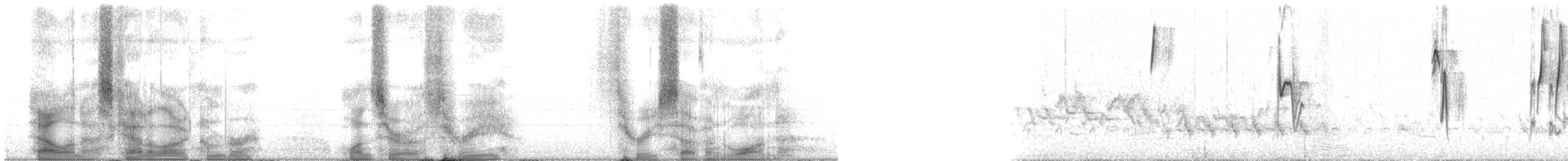 Botteri's Sparrow (Peten) - ML103371