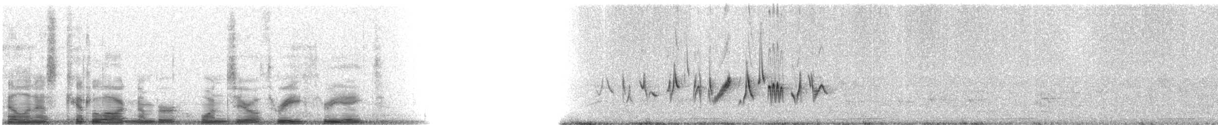 Common Yellowthroat - ML10338