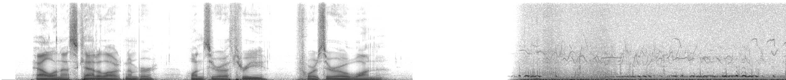 Orman Horozu - ML103401