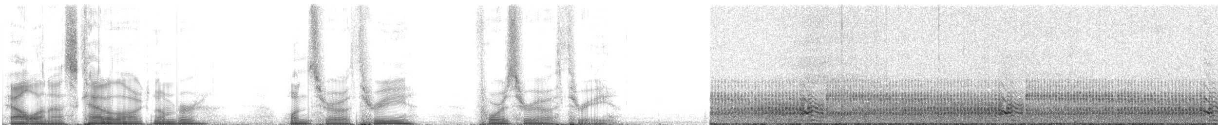 Fırtınakırlangıcı (pelagicus) - ML103403