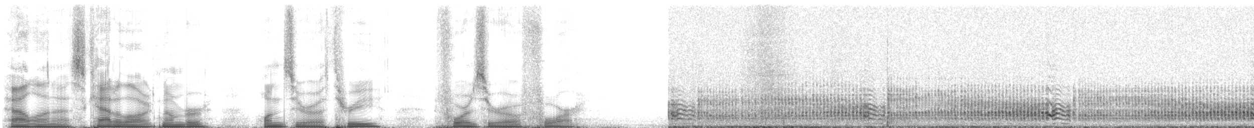 Fırtınakırlangıcı (pelagicus) - ML103404