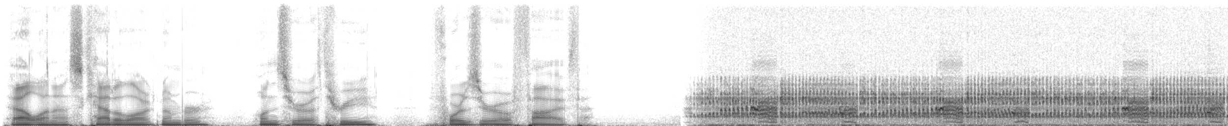 Fırtınakırlangıcı (pelagicus) - ML103405