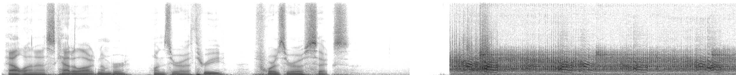 buřňáček malý (ssp. pelagicus) - ML103406
