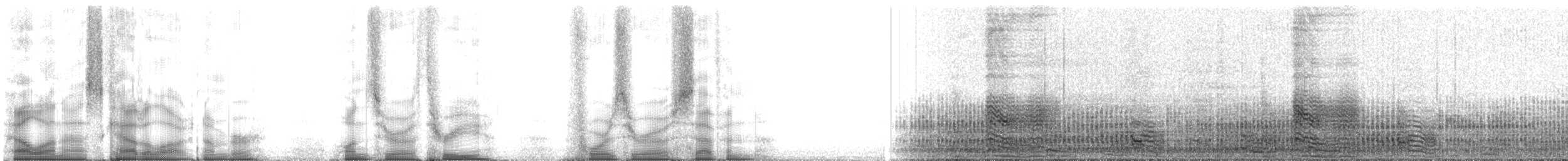 Fırtınakırlangıcı (pelagicus) - ML103407