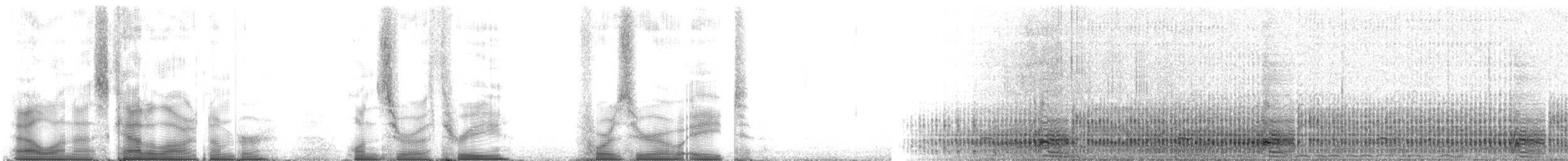 Fırtınakırlangıcı (pelagicus) - ML103408