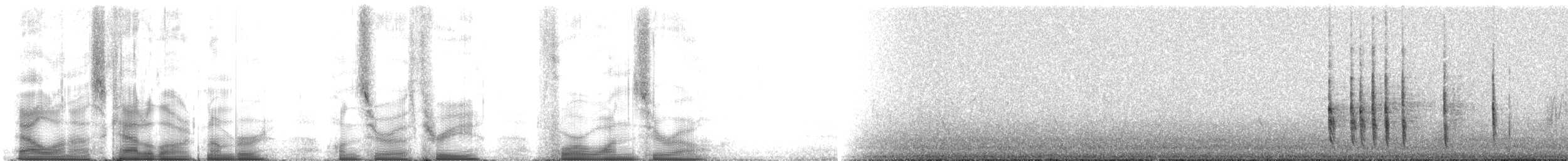 Boğmaklı Ardıç (torquatus) - ML103410