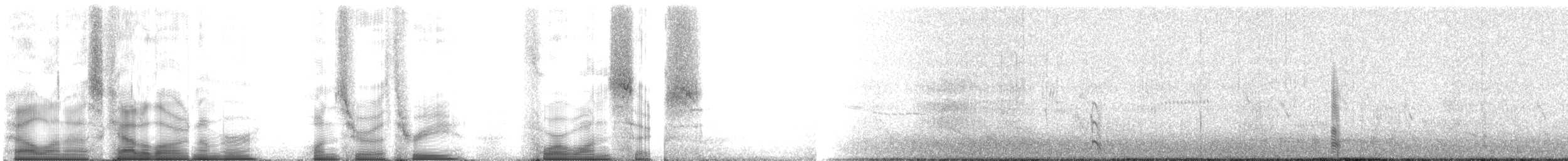 Korsanmartı - ML103416