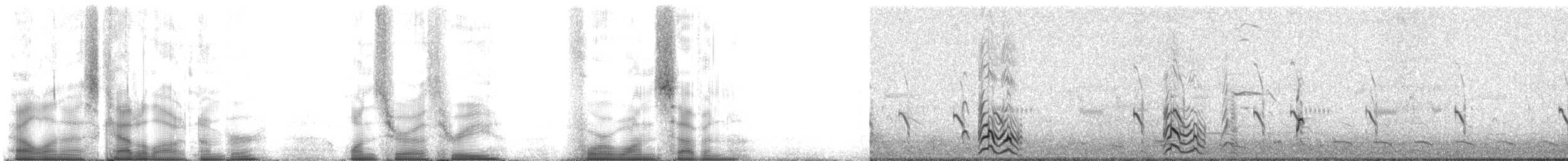 Korsanmartı - ML103417