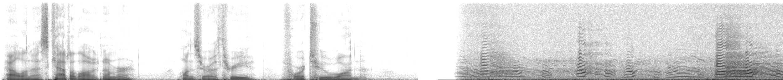racek žlutonohý (ssp. graellsii) - ML103421