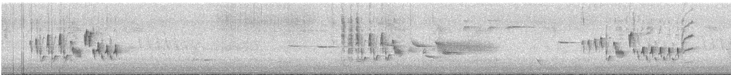 Troglodyte familier - ML103423711