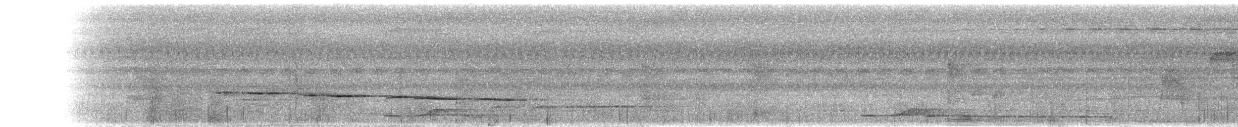 Усатый шелкопёр - ML103428441