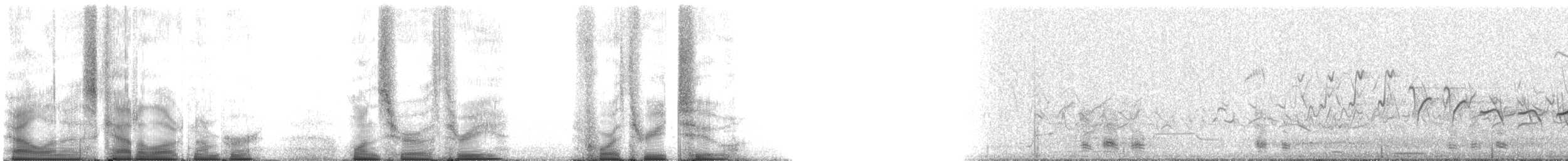 Boz Kaz (anser) - ML103432