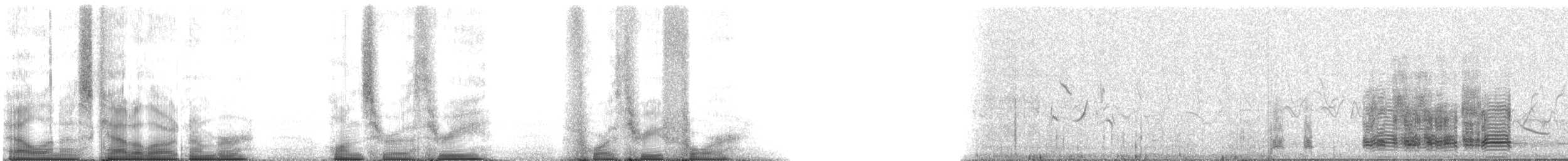 Boz Kaz (anser) - ML103434