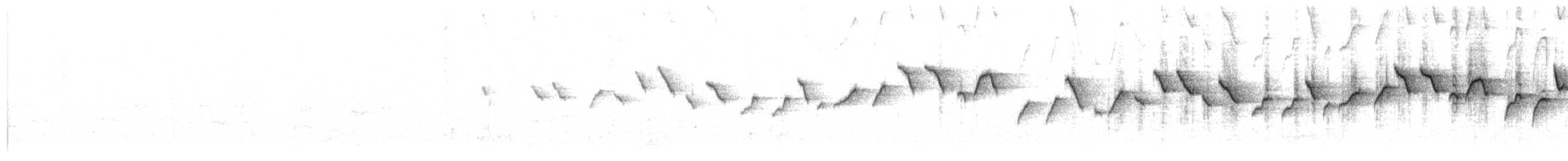 雑種 キンガシラアメリカムシクイ ｘ カワリアメリカムシクイ - ML103485361