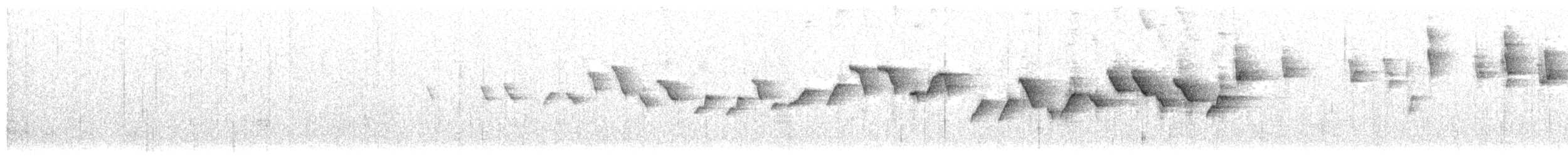 Белолицая x Очковая канделита (гибрид) - ML103488211
