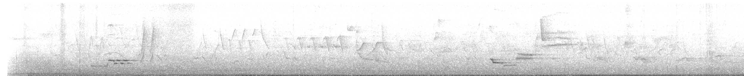 Wood Thrush - ML103492701