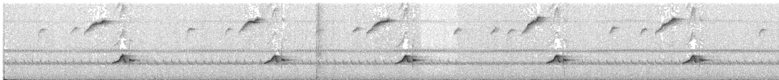 Серогрудый крапивник - ML103521541