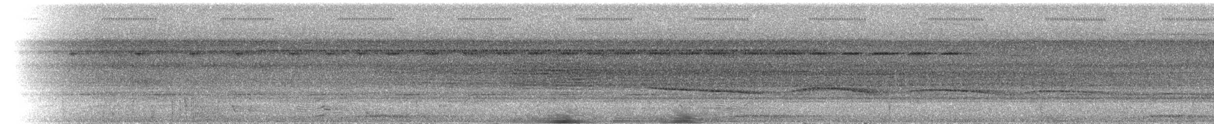 Белолицая гологлазка - ML103535171