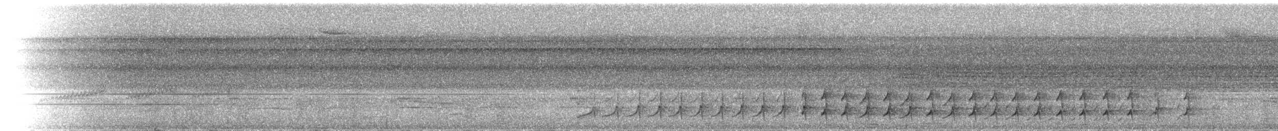 Grimpar de Hoffmanns - ML103535341