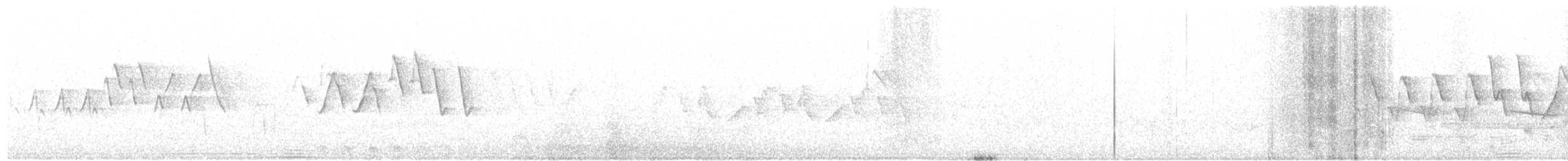 אנפית-גמדית אמריקנית - ML103538531