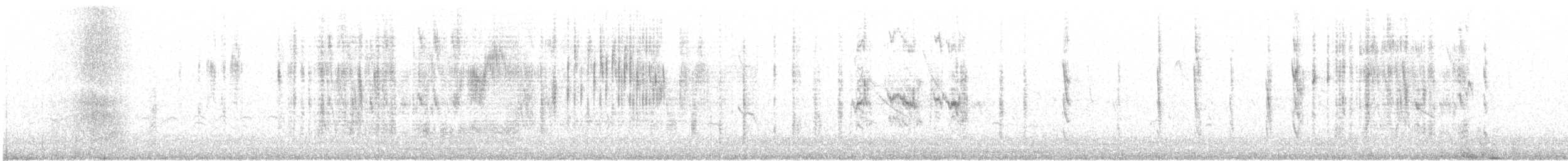 snovač etiopský - ML103562301