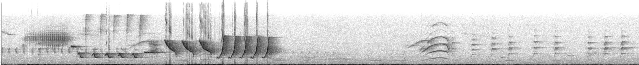 Şerit Karınlı Çıtkuşu - ML103564471