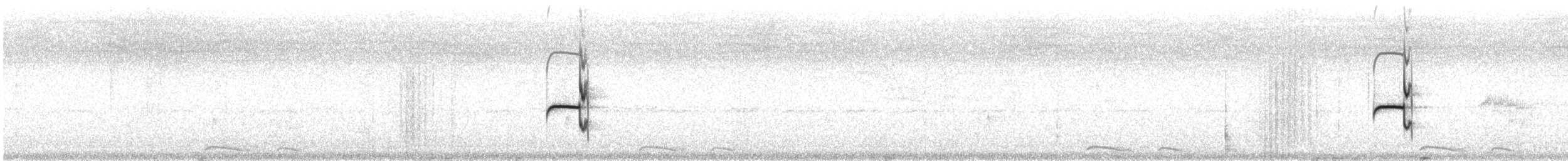 Тиранчик-тонкодзьоб північний - ML103591091
