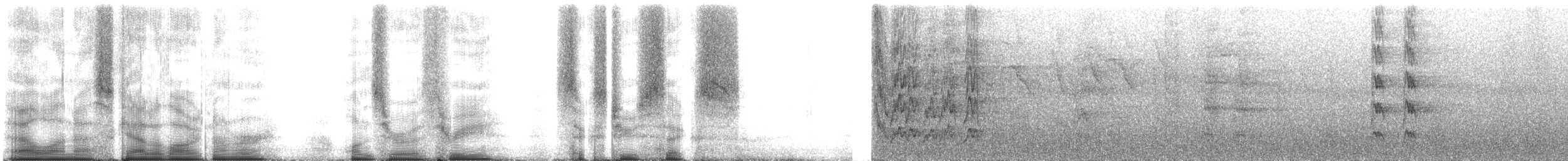 brunhetteparakitt (amazonum) - ML103626