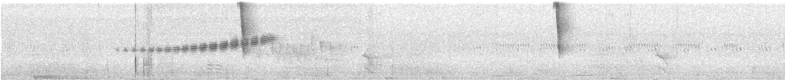 Prairie Warbler - ML103641221
