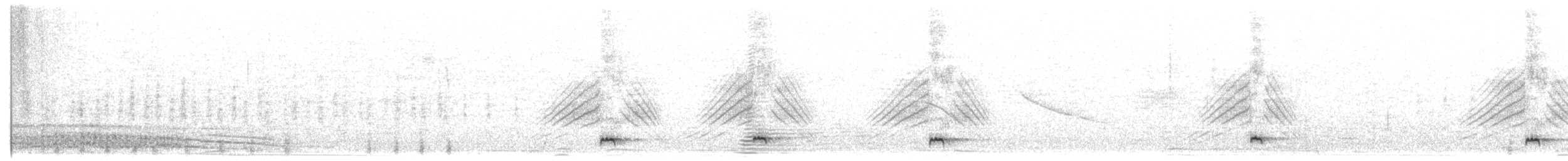 Шилохвіст жовтодзьобий (підвид spinicauda/niceforoi) - ML103671531