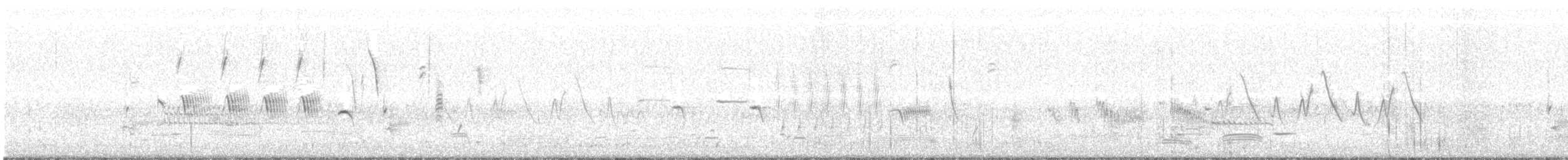 strnadec zpěvný (ssp. montana/merrilli) - ML103719471