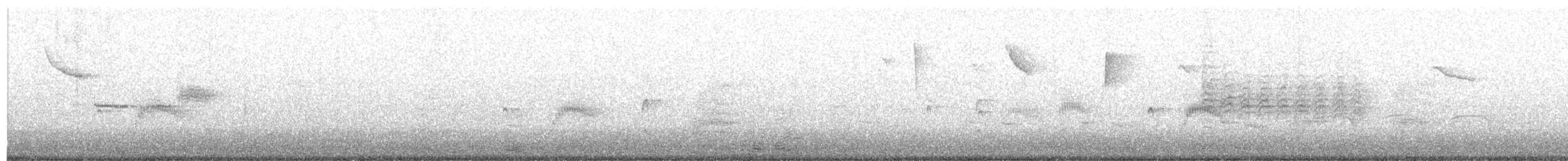 Couch's Kingbird - ML103739751