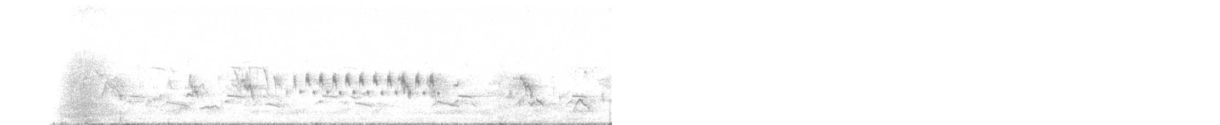 Klappergrasmücke (curruca/blythi/halimodendri) - ML103766361
