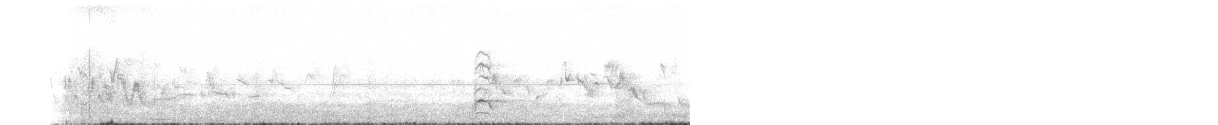 racek bouřní (ssp. canus) - ML103766821