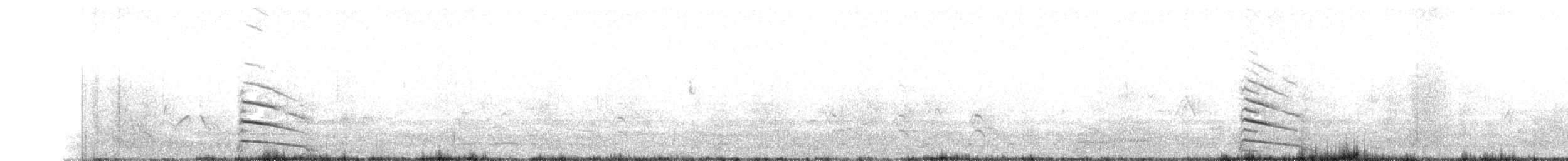 セグロカモメ（argentatus／argenteus） - ML103767131