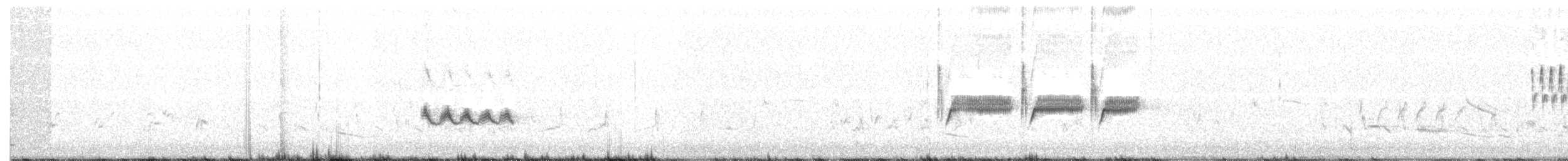Rock Wren - ML103777151