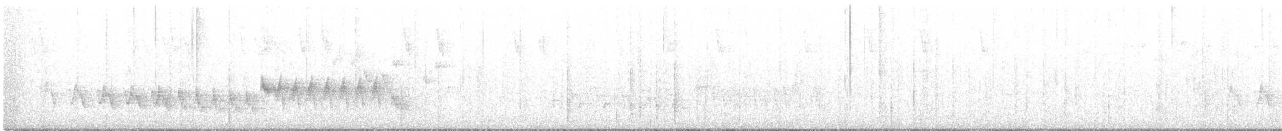 Kanarya Adaları İspinozu (canariensis/ombriosa) - ML103804041