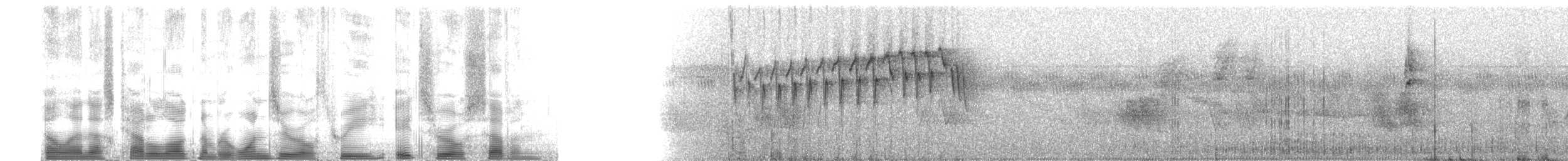 Elfenwaldsänger - ML103807