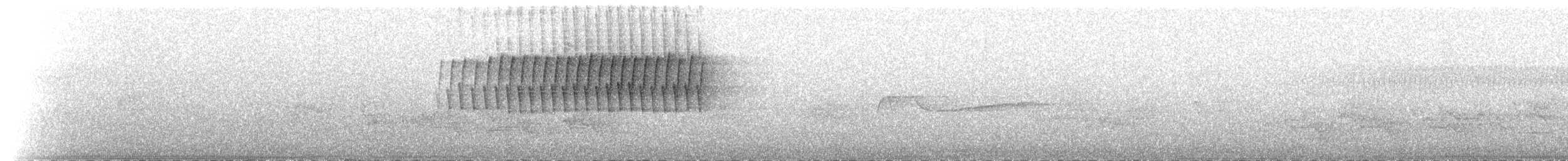 Worm-eating Warbler - ML103831041