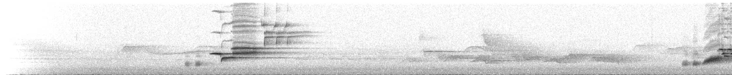 Wood Thrush - ML103839461