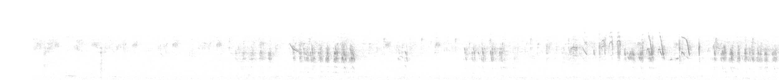 Андский калита - ML103855151