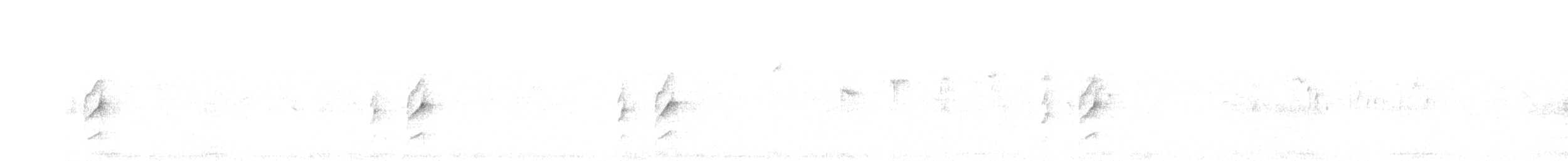 Длиннохвостая иглохвостка - ML103855471