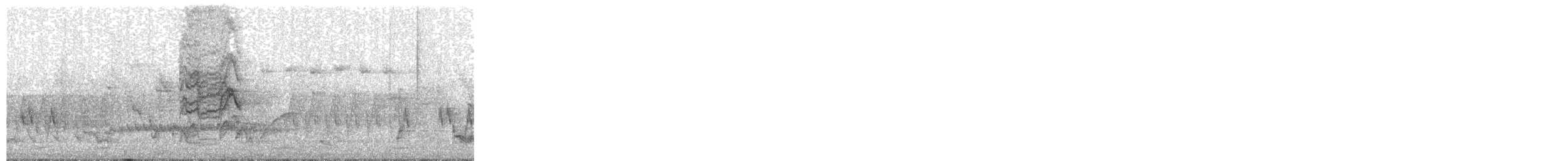 strdimil zlatokřídlý - ML104004271