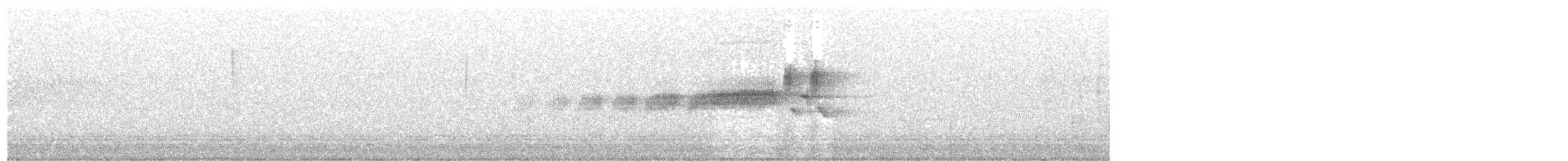 Бор шувууны багын тодорхойгүй зүйл - ML104011991