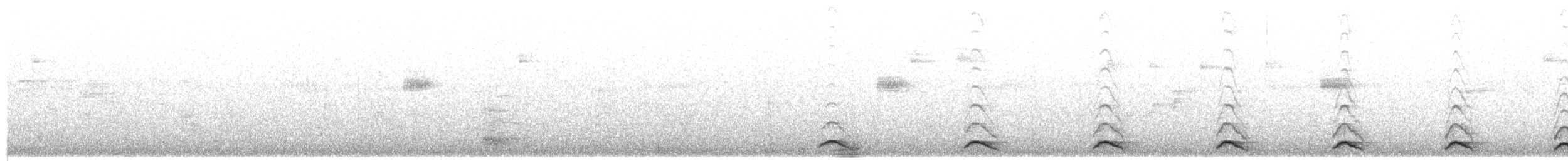 trogon škraboškový - ML104042021