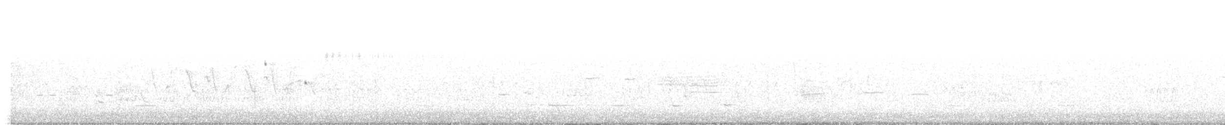 Кузнечиковая овсянка-барсучок - ML104108471