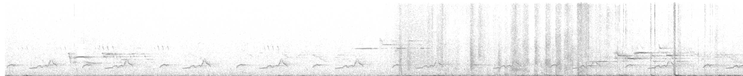 Schwarzkehl-Nachtschwalbe - ML104154761