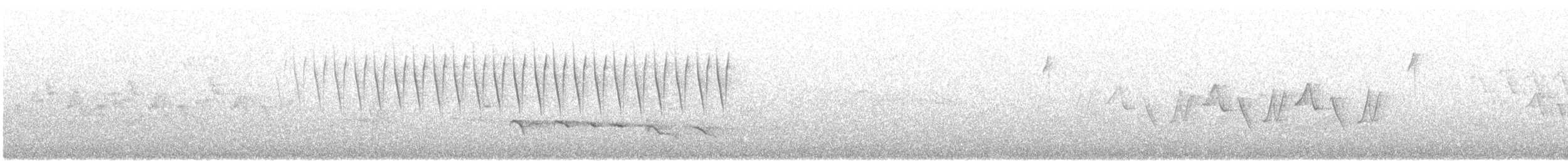 Chipping Sparrow - ML104207581