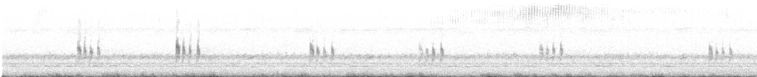 Antillennachtschwalbe - ML104235731