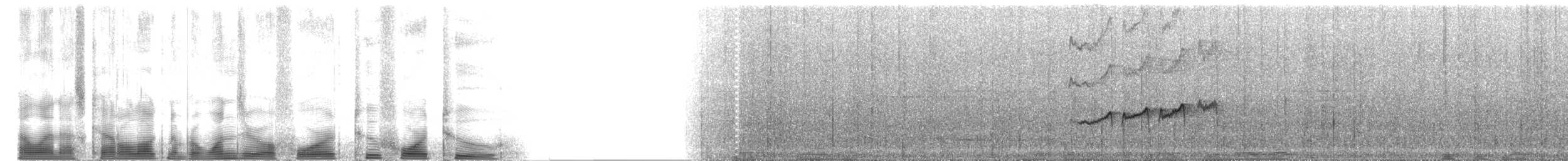 furnariid sp. - ML104242